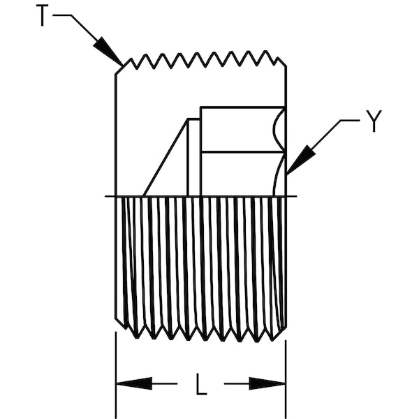 Hex Socket Pipe Plug Stainless Steel